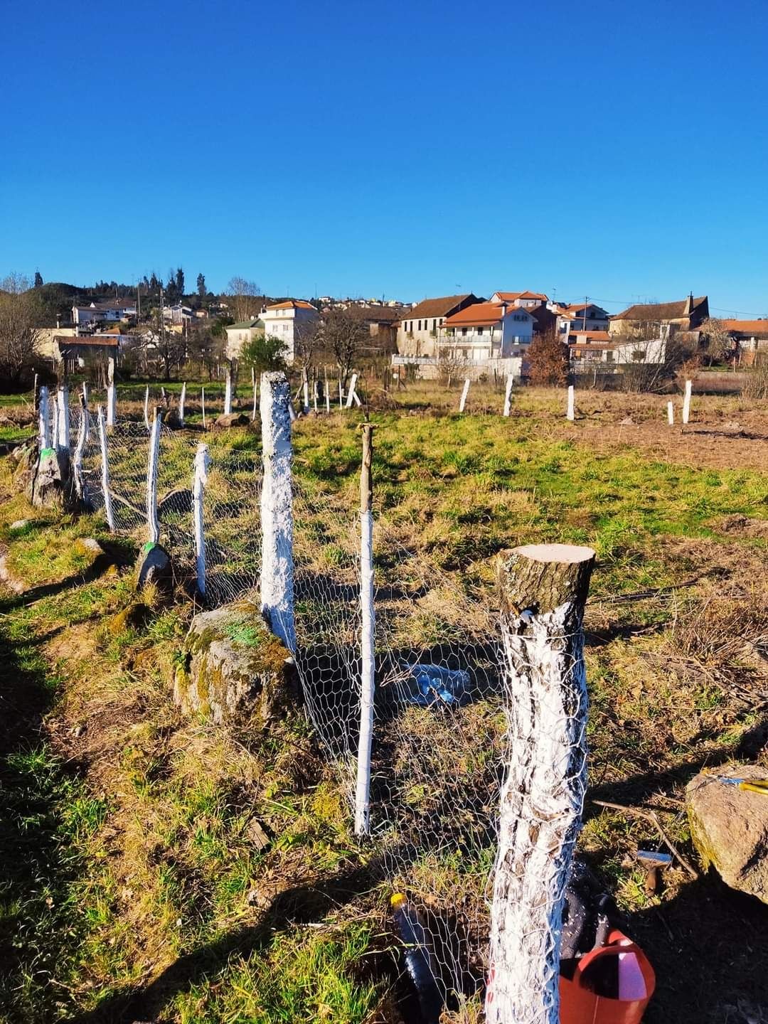 Terrenos rusticos Viseu