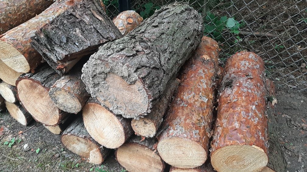 Drewno sosnowe na opał