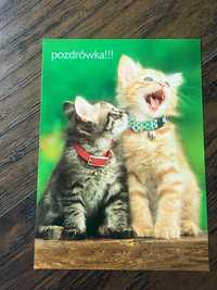 Pocztówka obrazek cute słodki cats koty dla dzieci