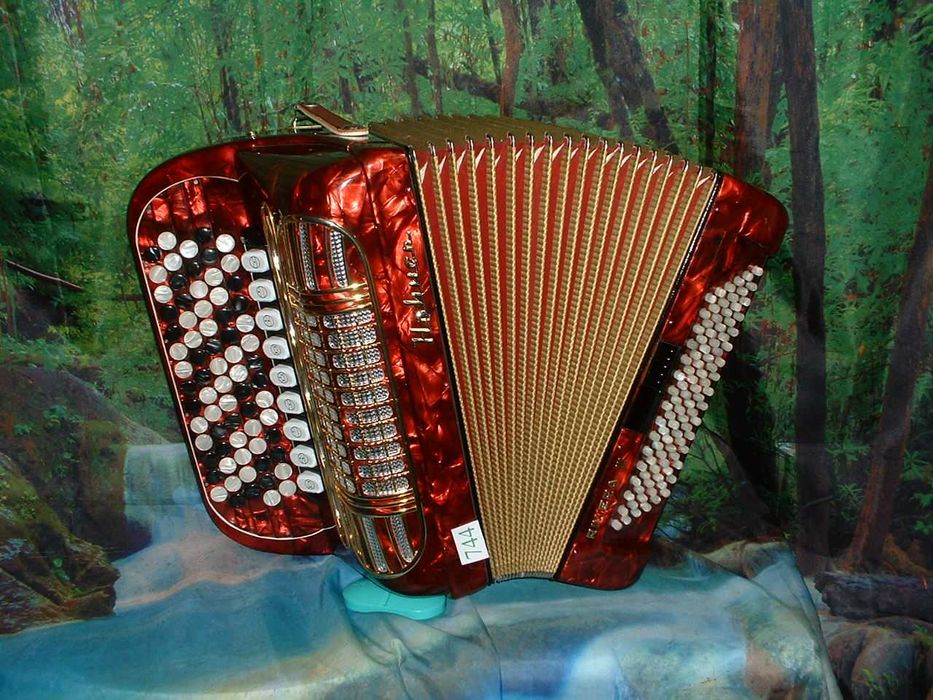 Acordeao Avenda G .744