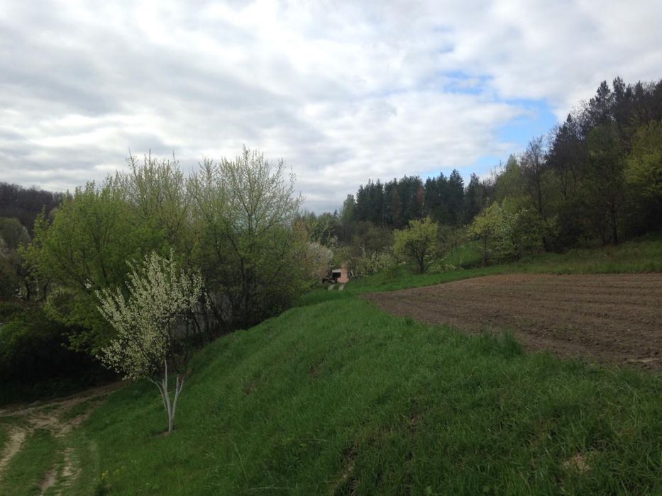 Земельна ділянка Обухівський район с.Великі Дмитровичі