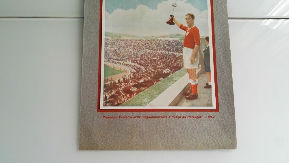 Separata do S.L.Benfica Campeão Nacional e vencedor da Taça 1954/1955