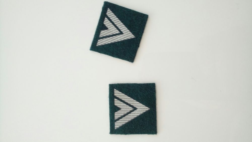 Dystynkcje, pochewki, naszywki