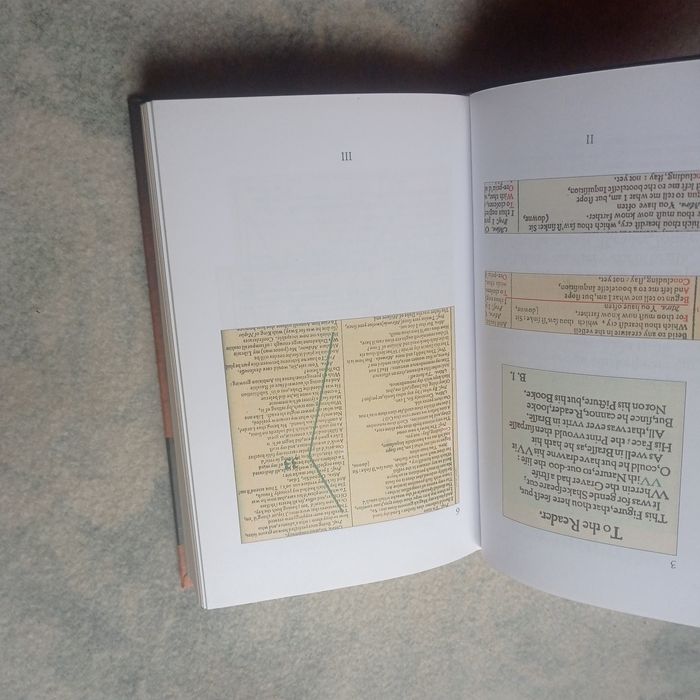 Книга Органист Эрленд Лу Петтер Амундсен 2009