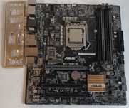 Płyta główna Asus Q170M-C M-ATX+G3900+maska I/O [ASUS101]