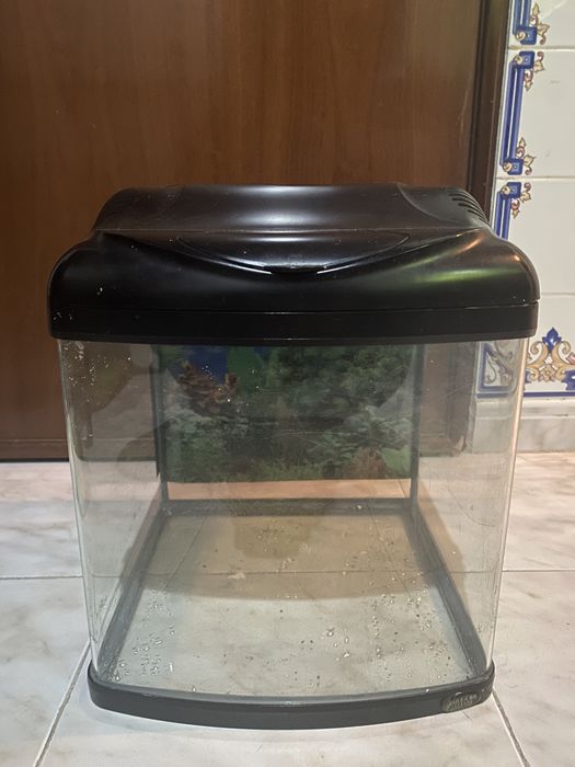 Aquario para peixes pequenos