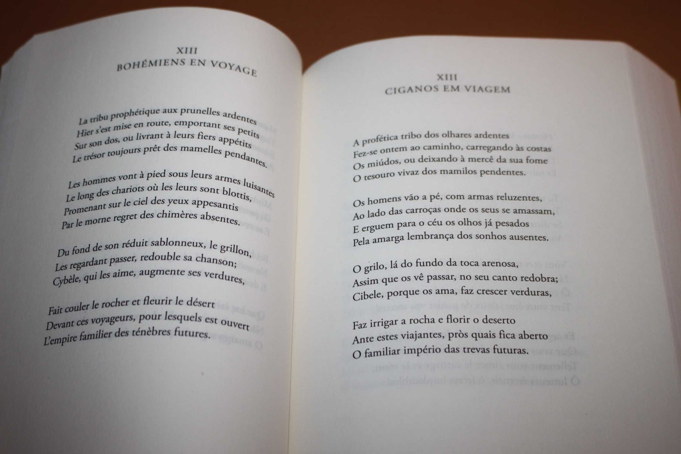 As Flores do Mal// Charles Baudelaire