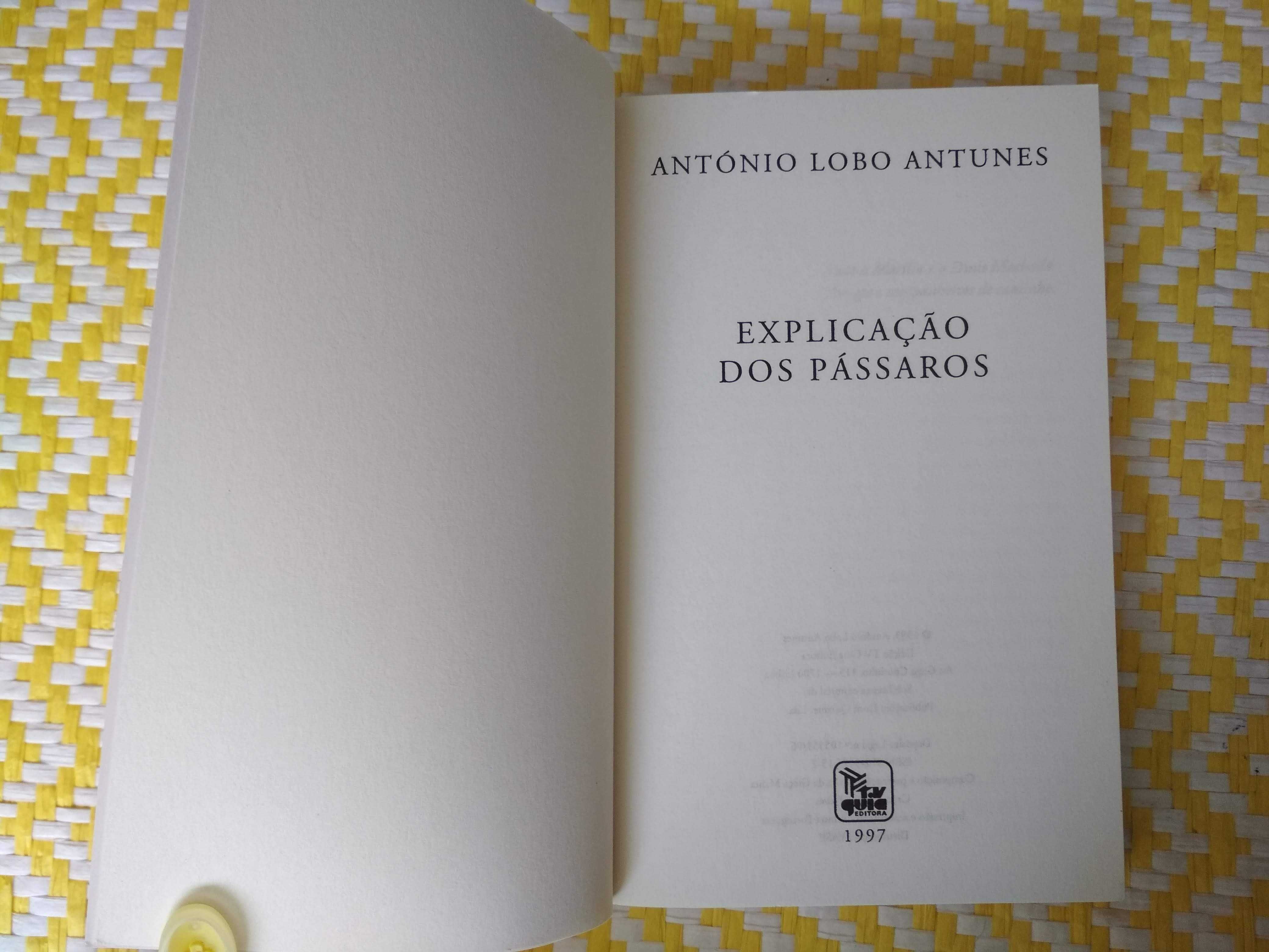 Explicação dos Pássaros
António Lobo Antunes