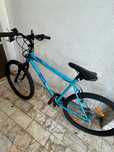Bicicleta unissex