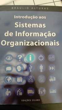 Introdução aos Sistemas de Informação Organizacionais