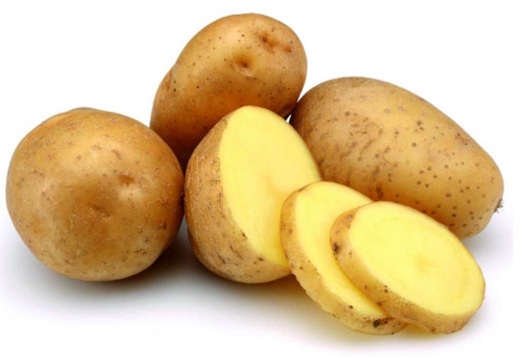 Арізона, Гранада, Скарб РедСоня насіннева картопля, семенной картофель