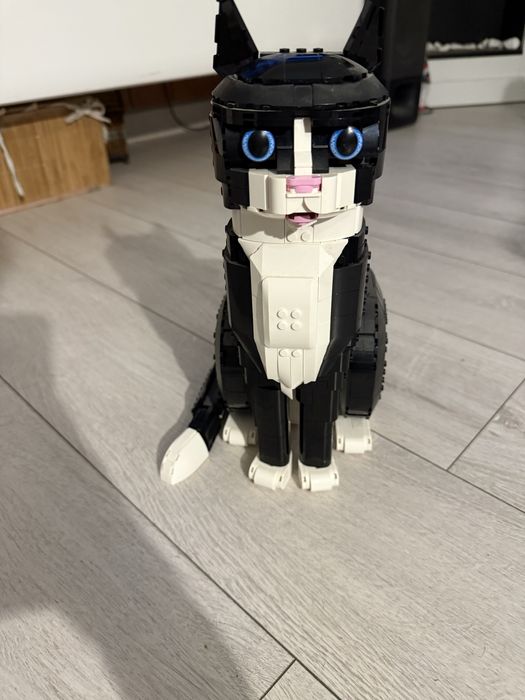 Kot lego polecam