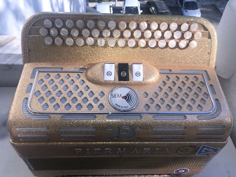 Acordeão Piermaria com registos à 2 voz + mala e correias