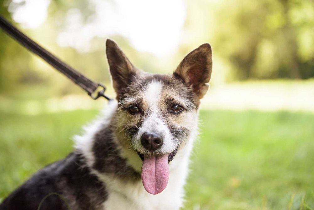 GAYA - spokojna, cichutka dla spokojnych ludzi
