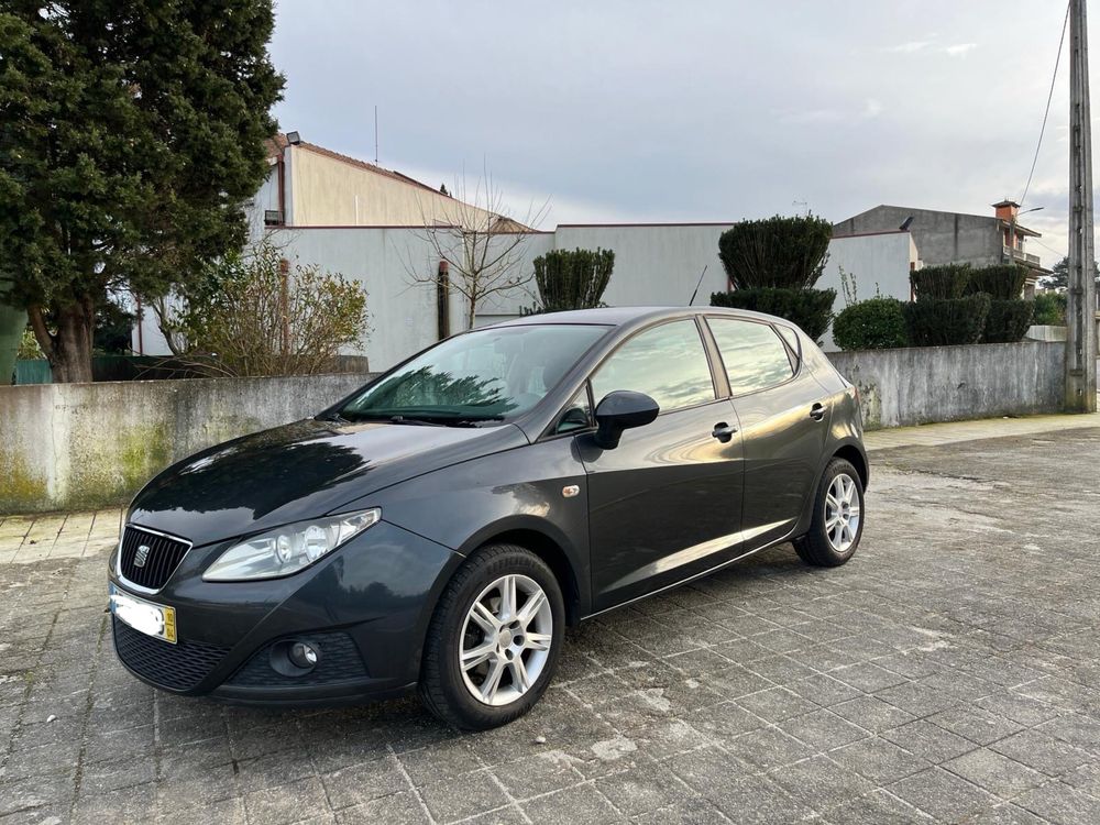 Seat ibiza 2010 cinza