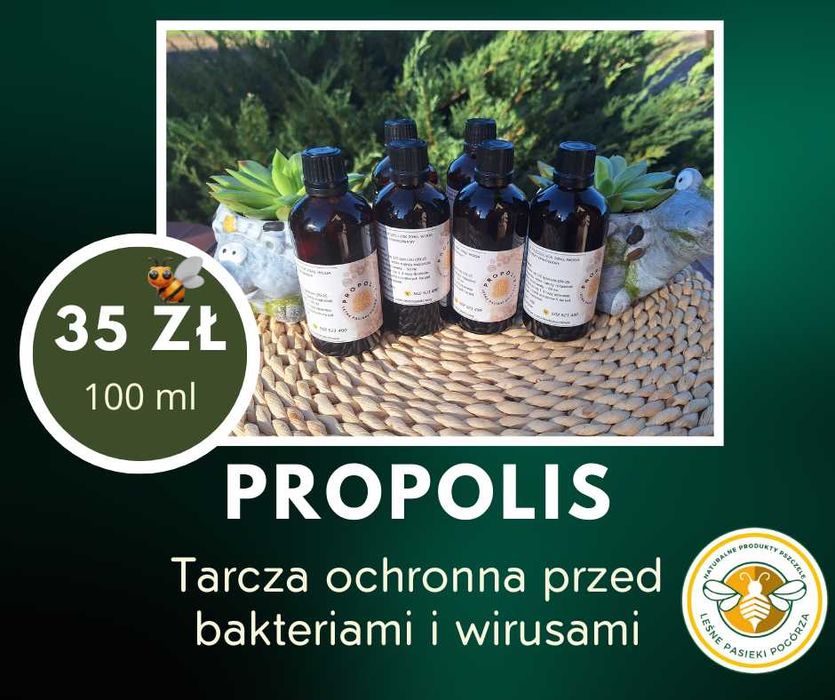 Miód Nektarowo- Spadziowy 2025, propolis, maść propolisowa