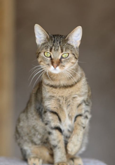 Крошка Марси, девочка в хорошие руки 1 год