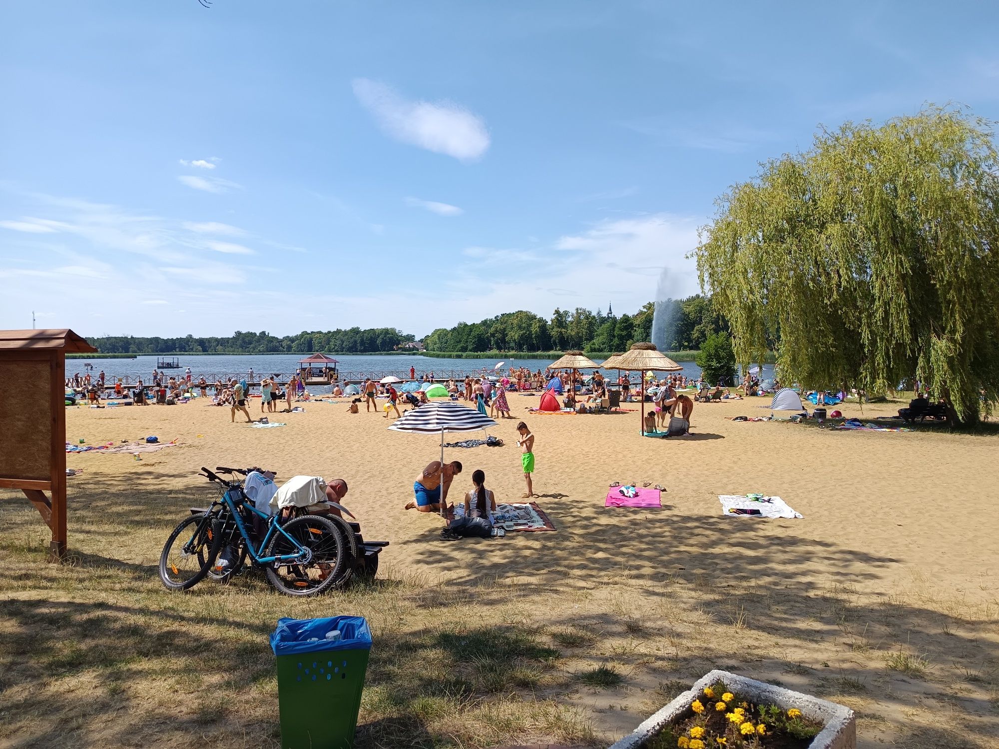 Wynajem domek letniskowy nad jeziorem Osieczna
