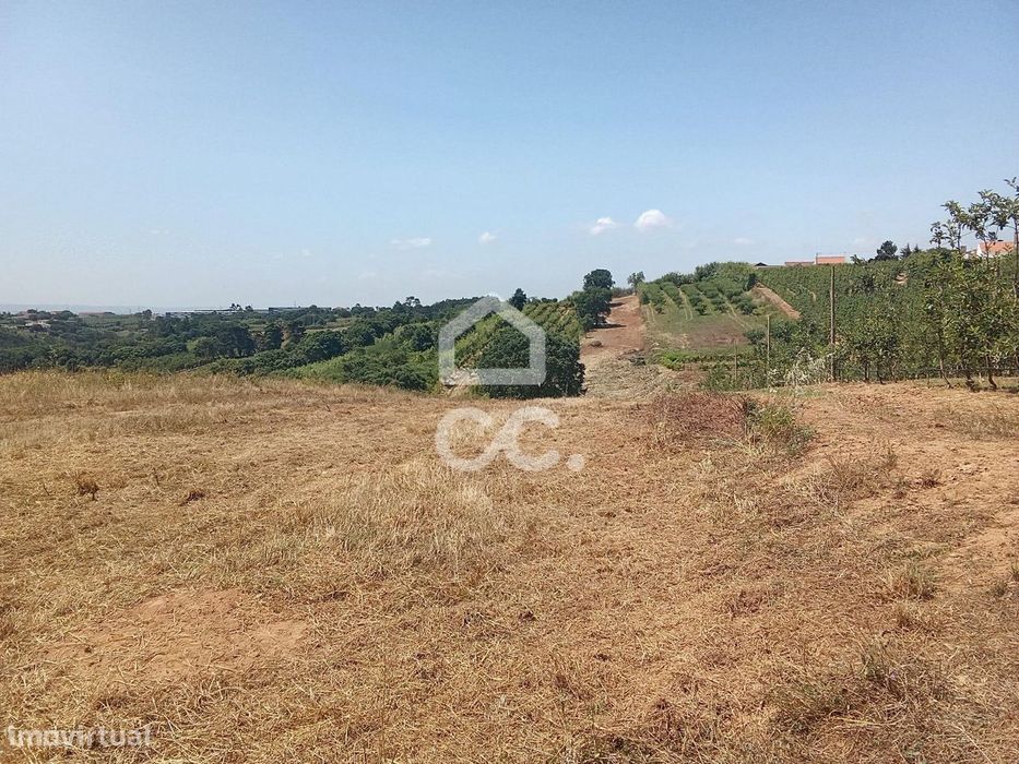 Terreno Rústico com 3.880 m² – Excelente Oportunidade em Usseira, a 3