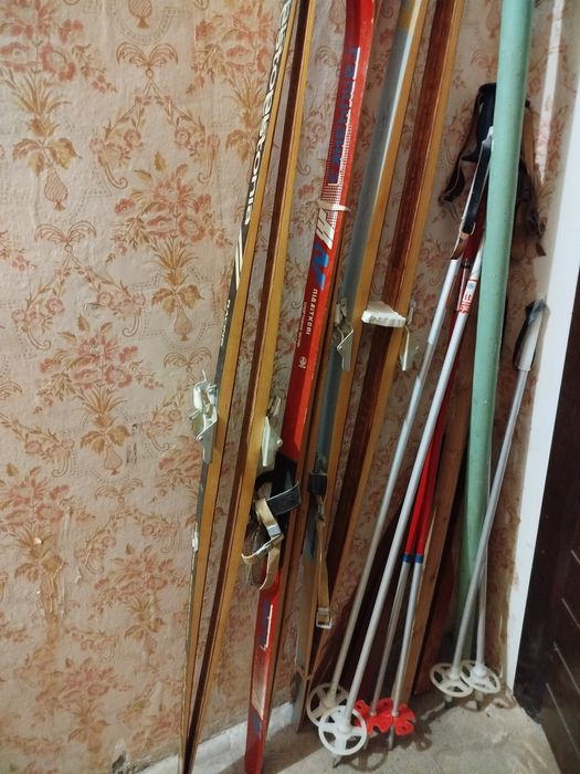 Лыжи подростковые взрослые