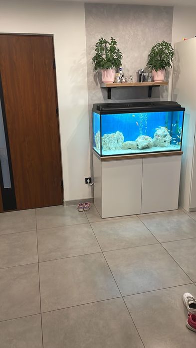 Akwarium 200l z szafką i pokrywą led