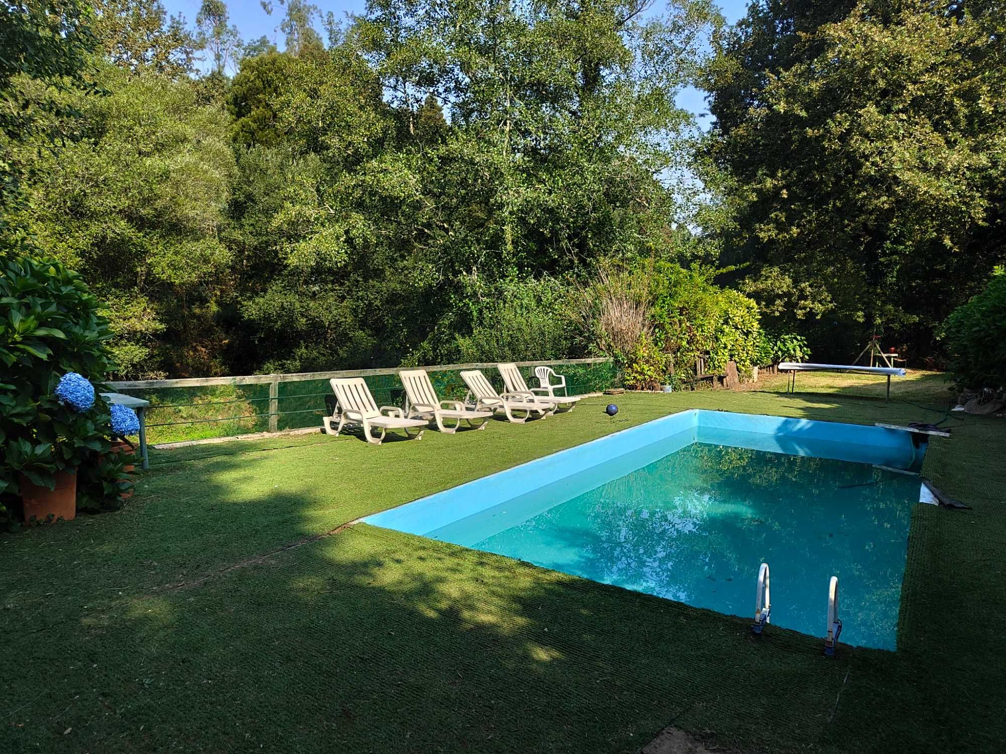 Vende-se quintinha confinante com o rio Caima em Oliveira de Azeméis