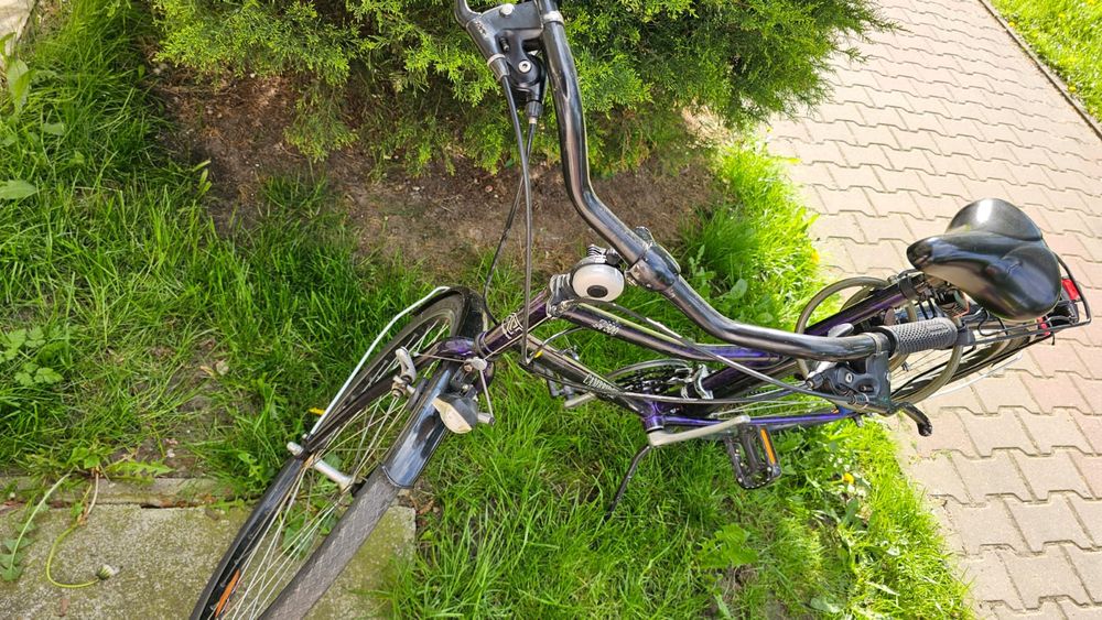 Rower Altus Cambridge