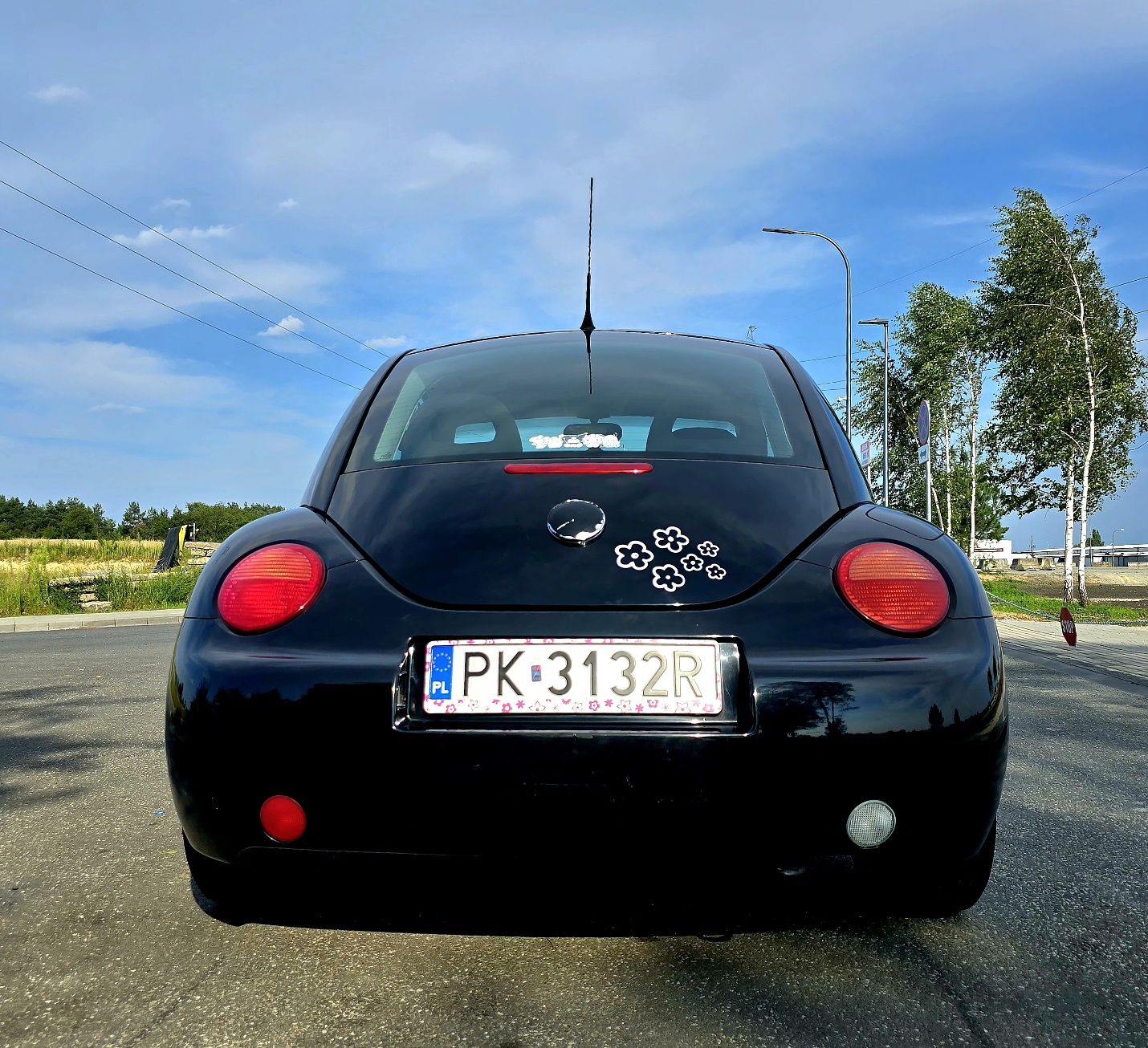 Volkswagen new beetle