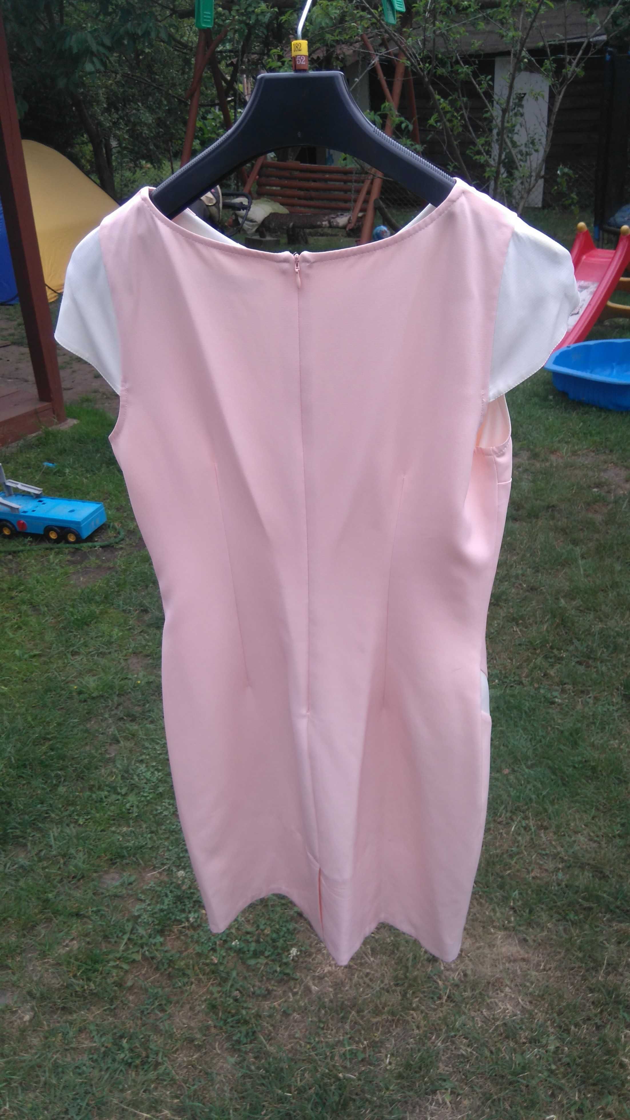 sukienka damska  42 - pampersy, seni kids junior super, pieluchy