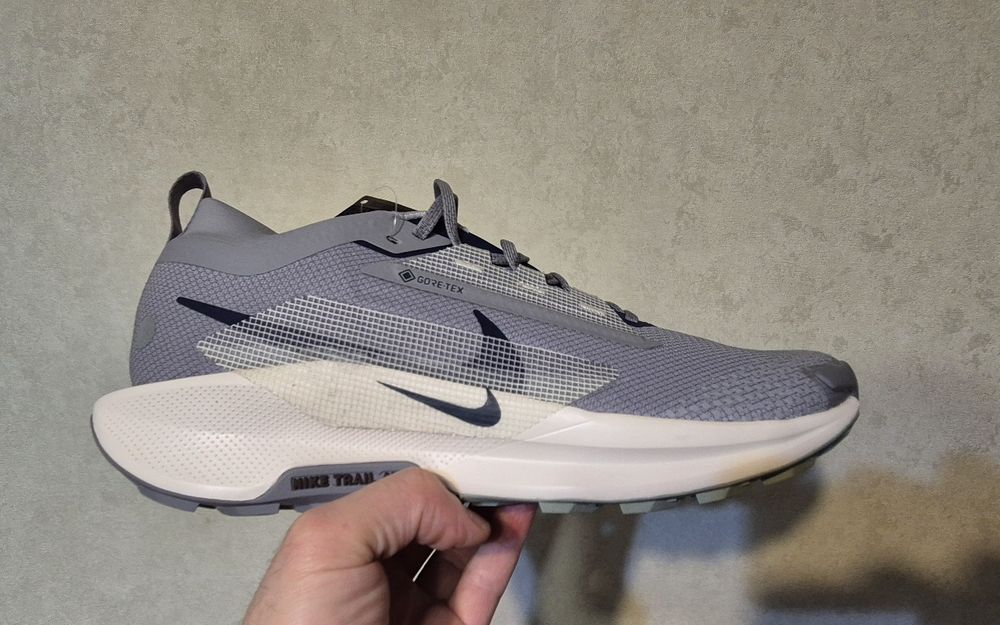 Nike Pegasus Trail 5 GTX