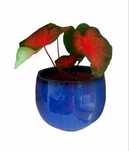 Vaso de cerâmica azul