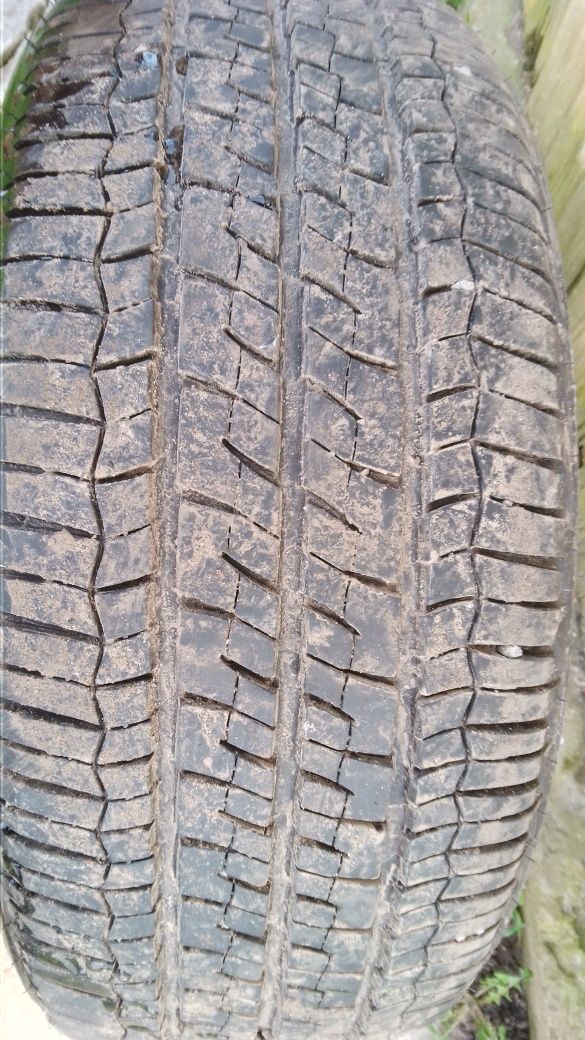 Резина Firestone chempion 195/50  R16