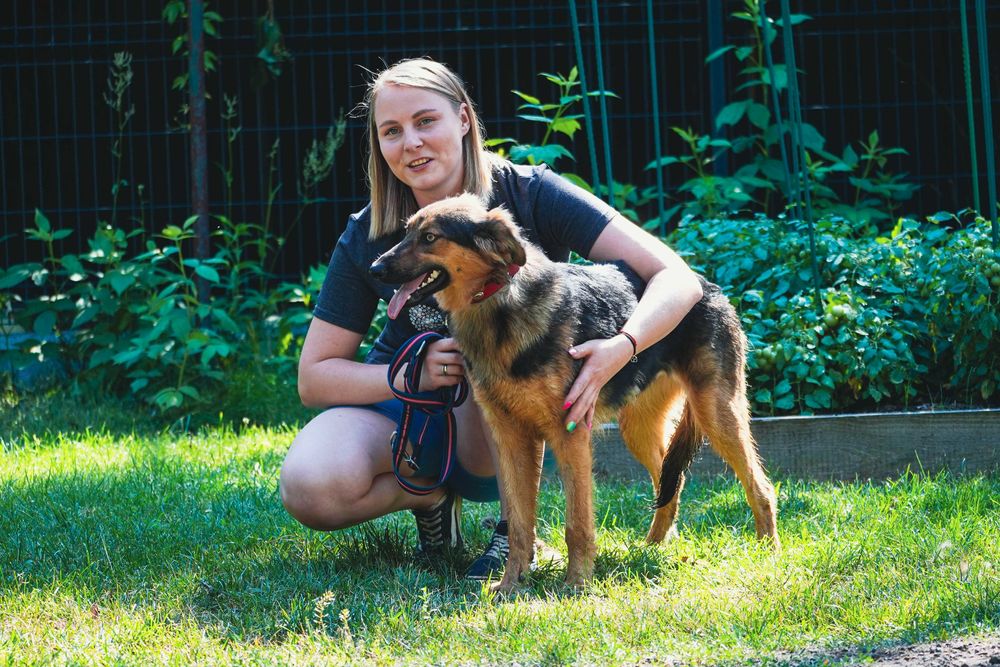 Nevada - cudowna, długowłosa sunia szuka domu