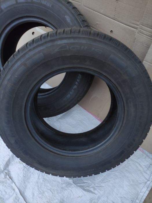 Шины Michelin Agilis Alpin 225/70R15C