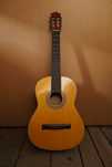 Stara gitara bez strun