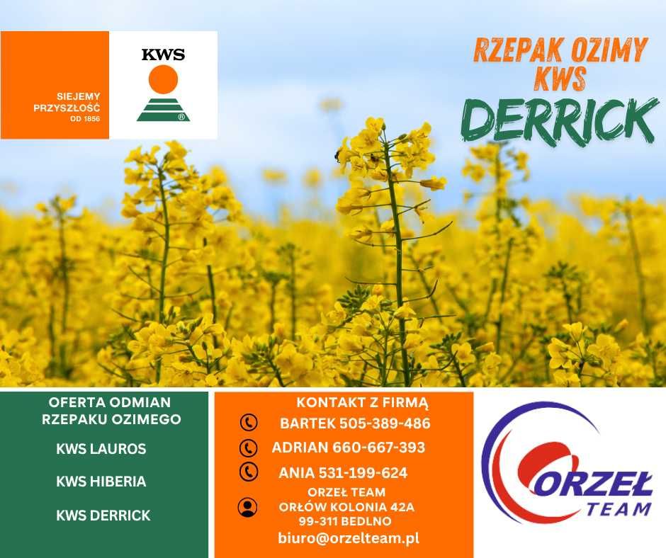 Rzepak ozimy KWS DERRICK potencjał mieszańcowy