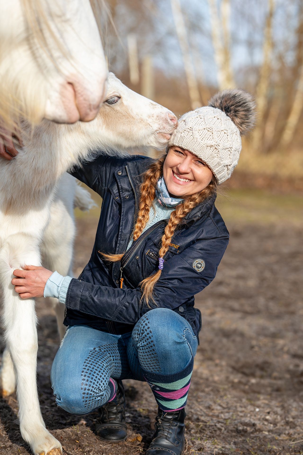 Gypsy Cob/źrebięta/dobrostan/zdrowe.