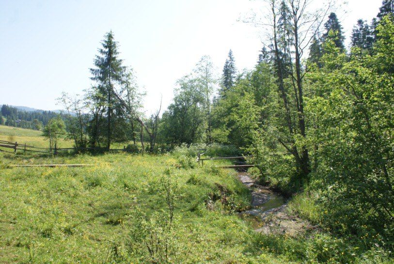 Земельна ділянка в Карпатах поруч з курортом Буковель.