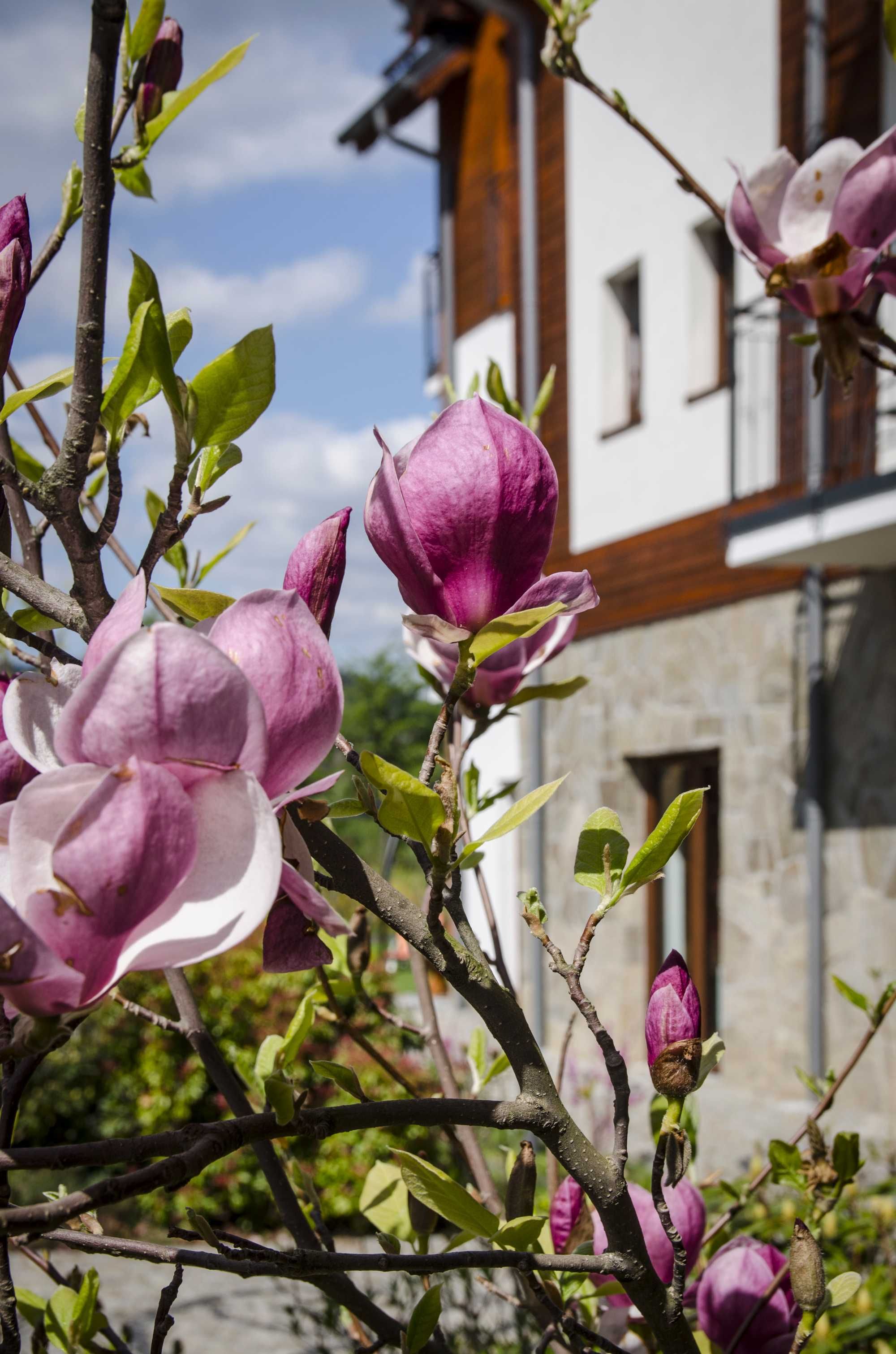 Hotel noclegi góry Karpacz Boże Ciało śniadania sauna parking kominek