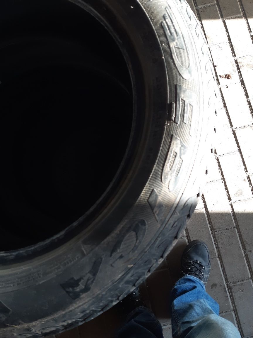 Opony zimowe Dębica Frigo HP2 205/60 R16