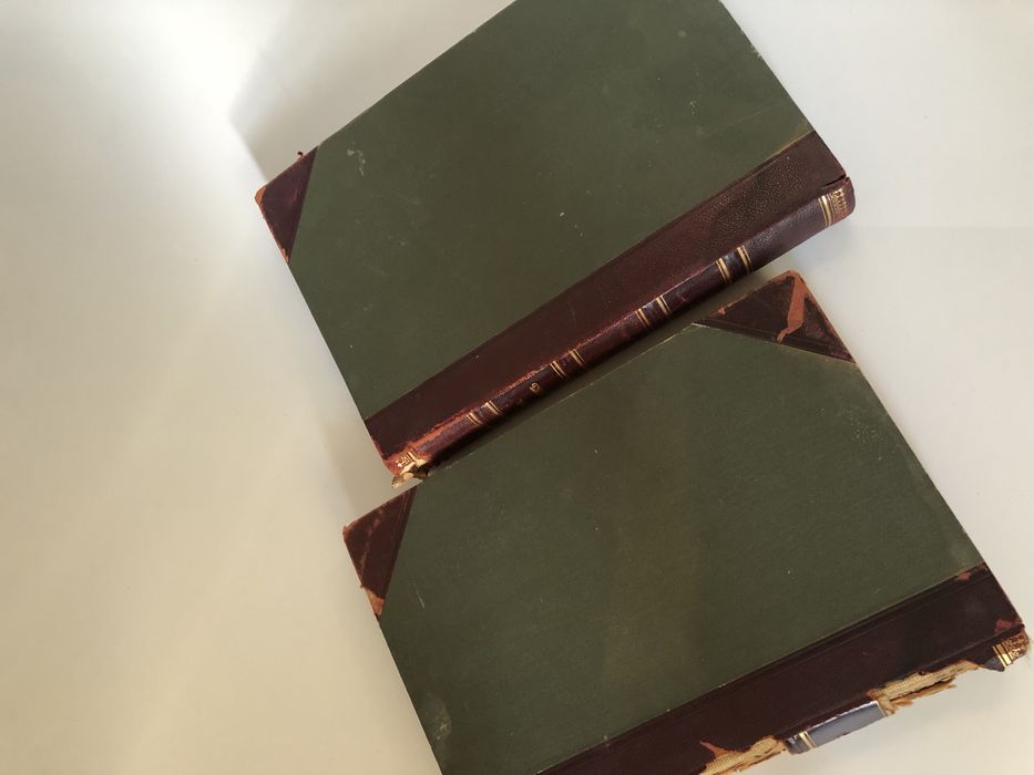 Антикварные книги И.Ранке Человек 1 и 2 том