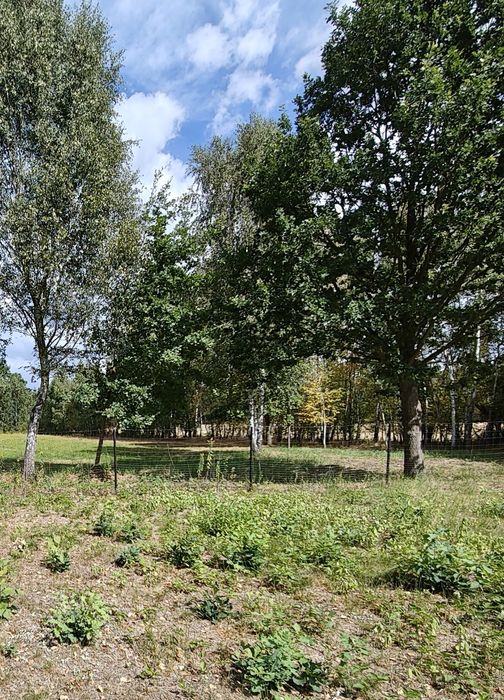 Rozwojowe działki, kilka przeznaczeń