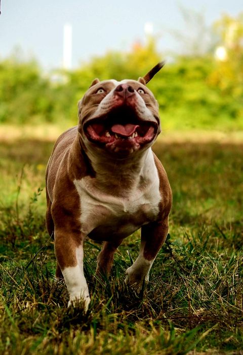 Відкритий для В'язки