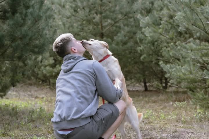 SAMBA poleca się do adopcji!