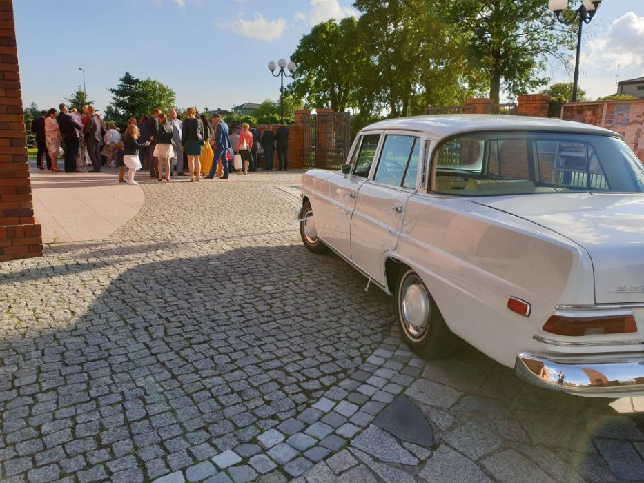 Auto do ślubu / samochód do ślubu Mercedes W110 biały skrzydlak retro
