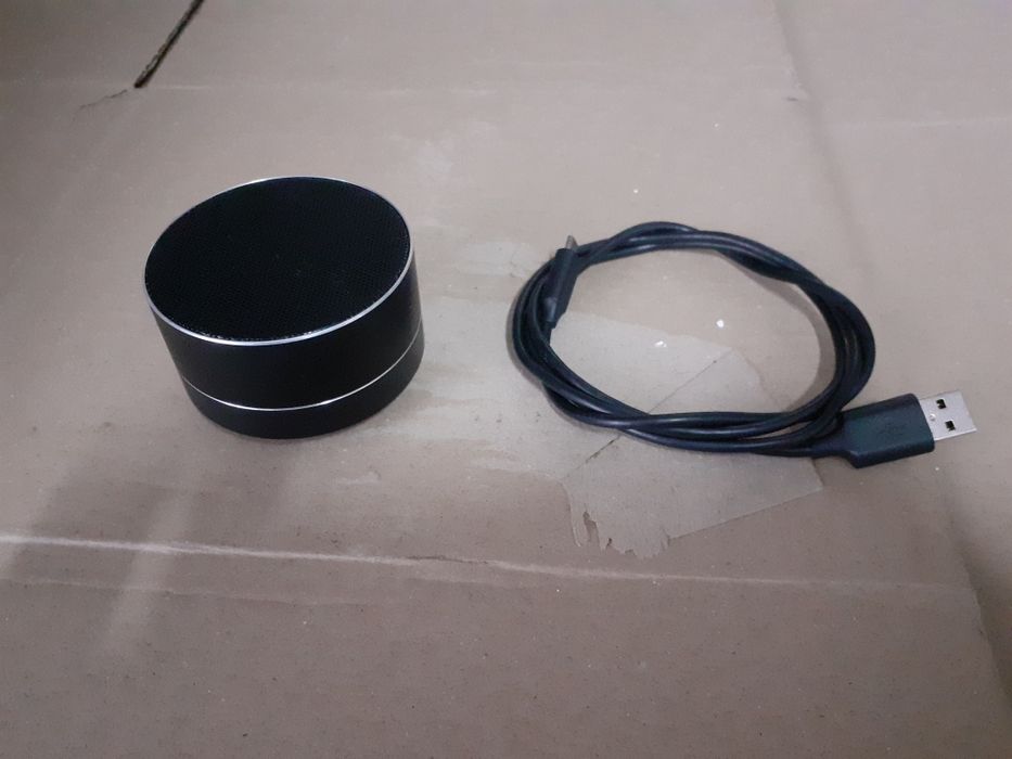 głośnik przenośny blaupunkt blp3100