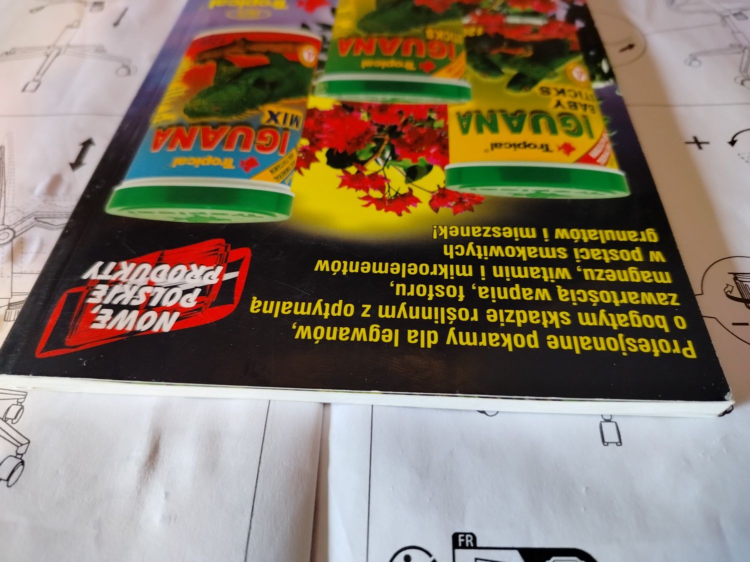 LEGWAN ZIELONY potomek smoków zwierzęta egzotyczne Witold Borkowski
