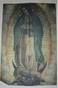 Żywy, Cudowny obraz Matki Bożej z Guadalupe - folderek drukowany