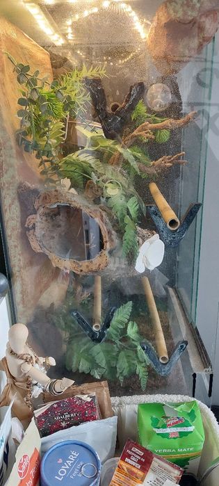 Terrarium pionowe wąż gekon jaszczurka 40x40x80