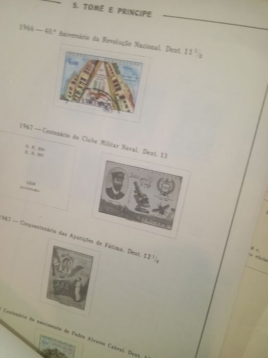 Selos tem selos do Benfica